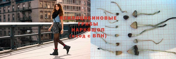 шишки Баксан