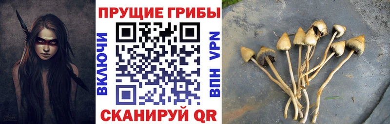 Галлюциногенные грибы прущие грибы  blacksprut сайт  Радужный 