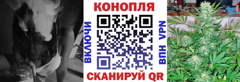 Конопля SATIVA & INDICA  где найти   Радужный 